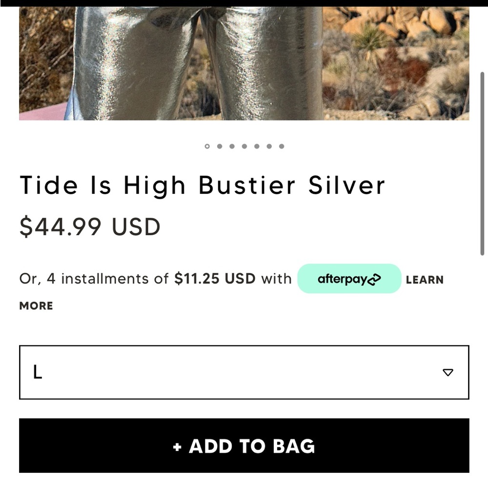 White fox boutique 2 piece metallic set NWT